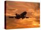 Silhouette of Commercial Airplane at Sunset-Mitch Diamond-Premier Image Canvas