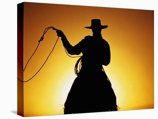 Silhouette of Cowboy on Horse Holding Rope-Darrell Gulin-Premier Image Canvas