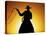 Silhouette of Cowboy on Horse Holding Rope-Darrell Gulin-Premier Image Canvas