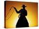 Silhouette of Cowboy on Horse Holding Rope-Darrell Gulin-Premier Image Canvas