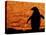 Silhouette of Gentoo Penguin at Sunset, Antarctica-Edwin Giesbers-Premier Image Canvas