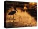 Silhouette of Jabiru Stork in Water, at Sunset, Pantanal, Brazil-Staffan Widstrand-Premier Image Canvas