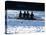 Silhouette of Men's Fours Rowing Team in Action, USA-null-Premier Image Canvas