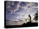 Silhouette of Mountain Biker Drinking at the Summit During Sunset-null-Premier Image Canvas