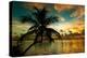 Silhouette of Palm Tree at Sunset-Philippe Hugonnard-Premier Image Canvas