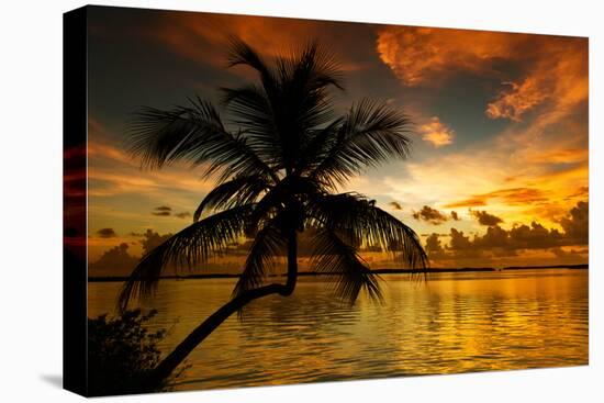 Silhouette of Palm Tree at Sunset-Philippe Hugonnard-Premier Image Canvas