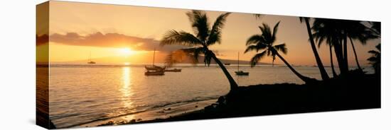 Silhouette of Palm Trees at Dusk, Lahaina, Maui, Hawaii, USA-null-Premier Image Canvas