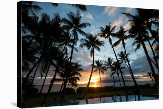 Silhouette of palm trees at dusk, Lahaina, Maui, Hawaii, USA-null-Stretched Canvas