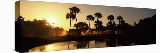 Silhouette of Palm Trees at Sunrise in a Golf Course, Kiawah Island Golf Resort, Kiawah Island-null-Premier Image Canvas