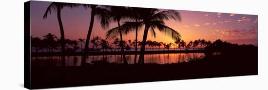 Silhouette of Palm Trees at Sunset, Anaehoomalu Bay, Waikoloa, Hawaii, USA-null-Stretched Canvas