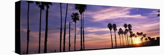 Silhouette of Palm Trees at Sunset, Santa Barbara, California, USA-null-Premier Image Canvas