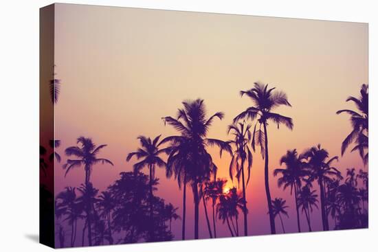 Silhouette of Palm Trees at Sunset, Vintage Filter-grop-Premier Image Canvas