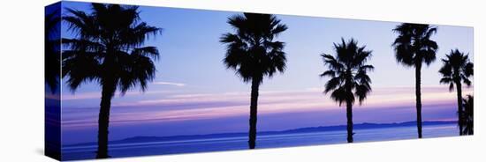 Silhouette of palm trees, Laguna Beach, Orange County, California, USA-null-Premier Image Canvas
