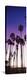 Silhouette of palm trees on beach, Santa Barbara, California, USA-null-Premier Image Canvas