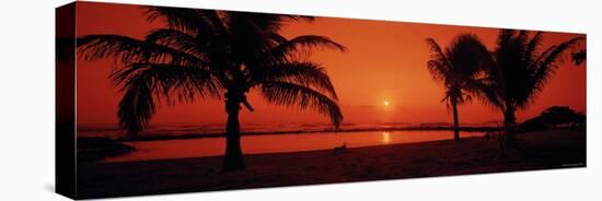 Silhouette of Palm Trees on the Beach at Dusk, Lydgate Park, Kauai, Hawaii, USA-null-Premier Image Canvas