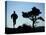Silhouette of Runner and Tree-null-Premier Image Canvas