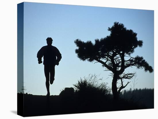 Silhouette of Runner and Tree-null-Premier Image Canvas