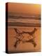 Silhouette of Woman in Beach Chair on the Beach-Mitch Diamond-Premier Image Canvas