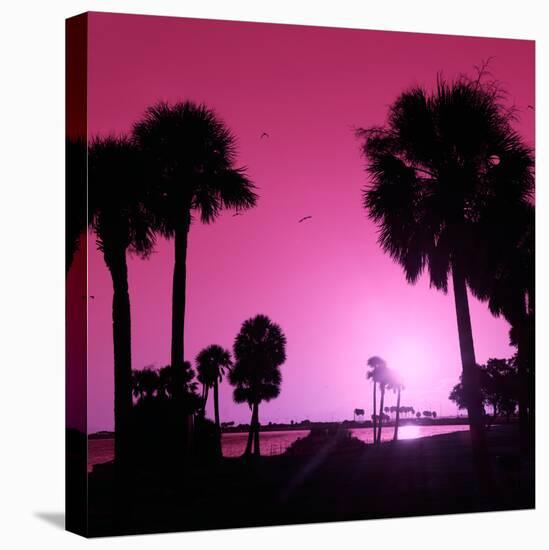 Silhouette Palm Trees at Sunset-Philippe Hugonnard-Premier Image Canvas