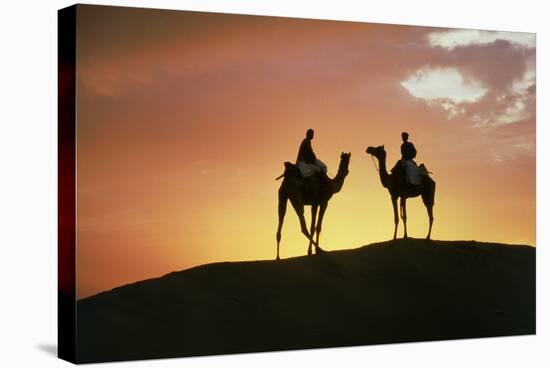 Silhouetted Camel Riders on a Sand Dune At Sunset-Tony Craddock-Premier Image Canvas