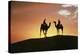 Silhouetted Camel Riders on a Sand Dune At Sunset-Tony Craddock-Premier Image Canvas