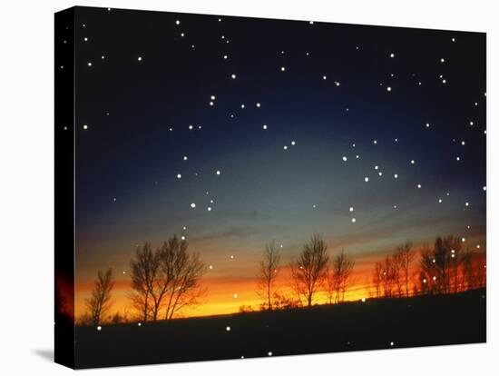 Silhouetted Landscape Below Star-Filled Sky-Chris Rogers-Premier Image Canvas