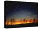 Silhouetted Landscape Below Star-Filled Sky-Chris Rogers-Premier Image Canvas