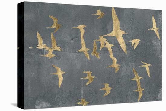 Silhouettes in Flight IV-Jennifer Goldberger-Stretched Canvas