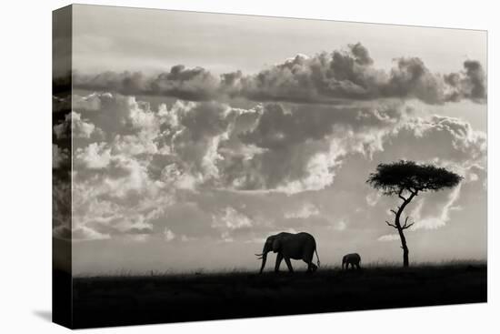 Silhouettes of Mara-Mario Moreno-Premier Image Canvas