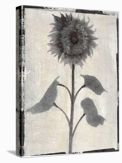 Silk Botanicals V-Liz Jardine-Stretched Canvas