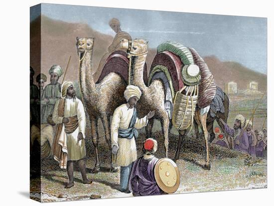 Silk Road, Caravan of Camels Resting, Antioch-Prisma Archivo-Premier Image Canvas
