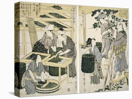 Silk-Worm Culture by Women-Kitagawa Utamaro-Premier Image Canvas