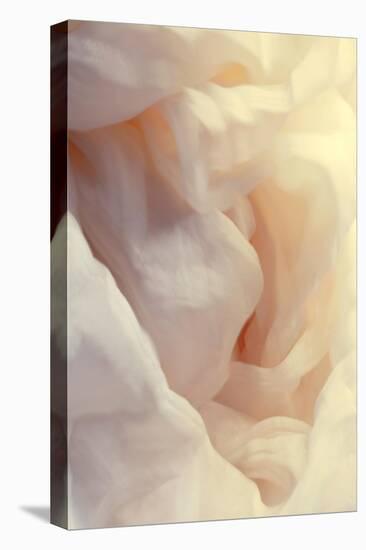 Silky feeling-Heidi Westum-Premier Image Canvas