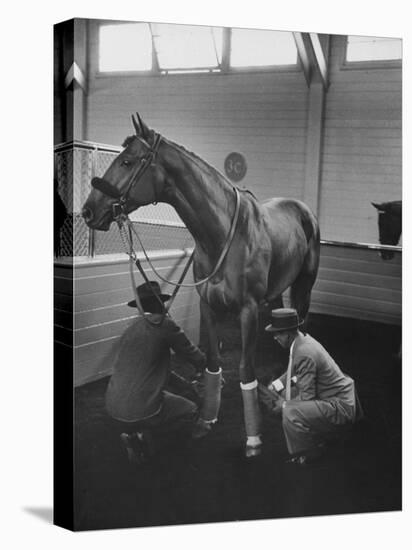 Silky Sullivan Being Prepared for the Santa Anita Derby-Allan Grant-Premier Image Canvas