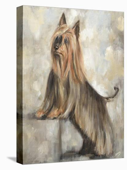 Silky Terrier II-Solveiga-Premier Image Canvas