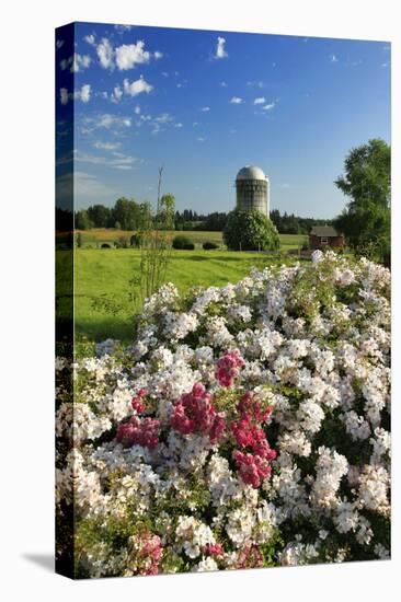 Silo and Wild Roses in Marion County, Oregon, USA-Jaynes Gallery-Premier Image Canvas