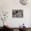 Silvana VI-Tony Koukos-Stretched Canvas displayed on a wall