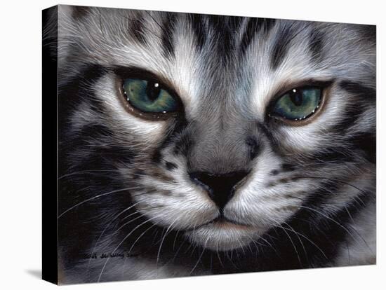 Silver Bengal Cat-Sarah Stribbling-Stretched Canvas