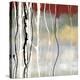 Silver Birch II-Laurie Maitland-Stretched Canvas