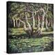 Silver Birch Trees, 1988-Liz Wright-Premier Image Canvas