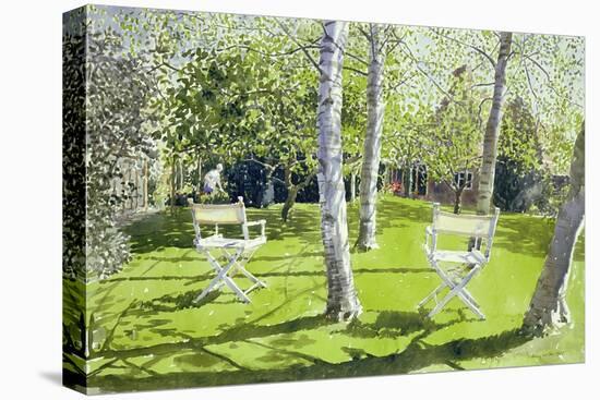 Silver Birches, 1988-Lucy Willis-Premier Image Canvas