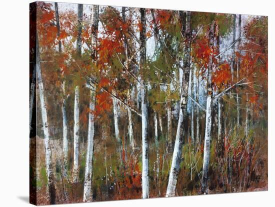 Silver Birches III-Richard Akerman-Stretched Canvas