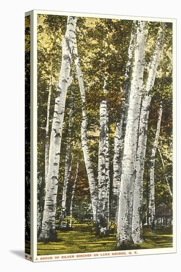 Silver Birches, Lake George, New York-null-Stretched Canvas