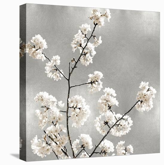 Silver Blossoms I-Kate Bennett-Stretched Canvas