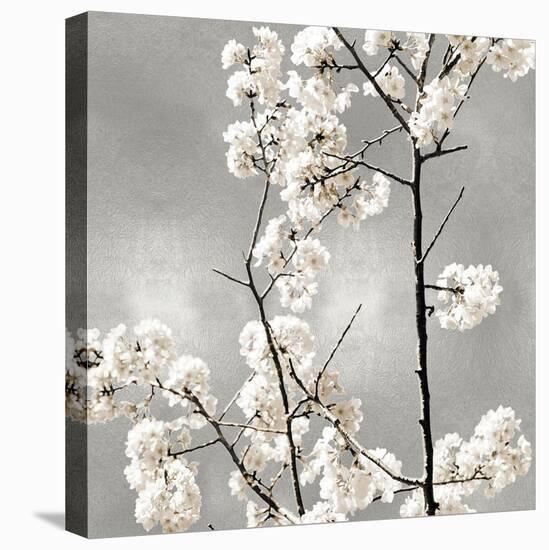 Silver Blossoms II-Kate Bennett-Stretched Canvas