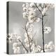 Silver Blossoms II-Kate Bennett-Stretched Canvas