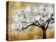 Silver Blossoms-Kate Bennett-Stretched Canvas