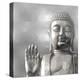 Silver Buddha-Tom Bray-Stretched Canvas
