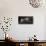 Silver Burmilla Cat-Yann Arthus-Bertrand-Stretched Canvas displayed on a wall