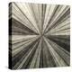 Silver Burst-Mali Nave-Stretched Canvas